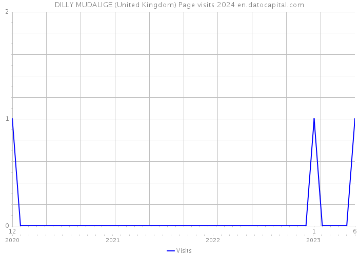 DILLY MUDALIGE (United Kingdom) Page visits 2024 