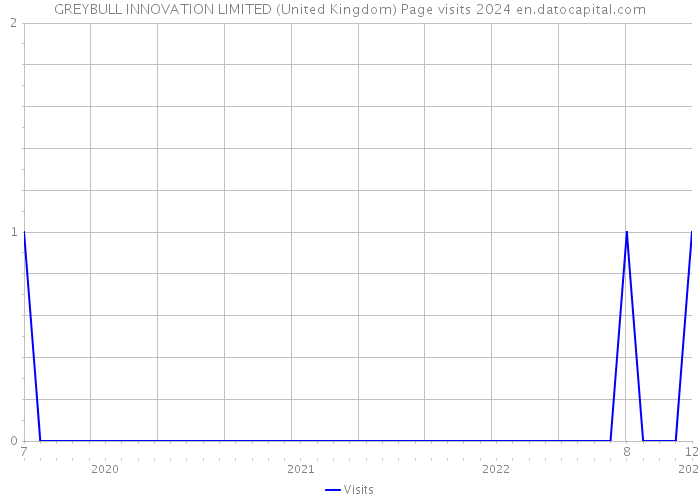 GREYBULL INNOVATION LIMITED (United Kingdom) Page visits 2024 