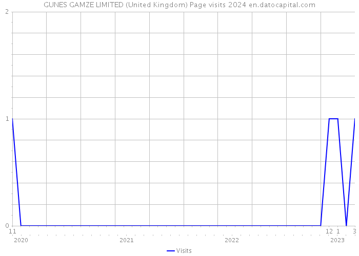 GUNES GAMZE LIMITED (United Kingdom) Page visits 2024 