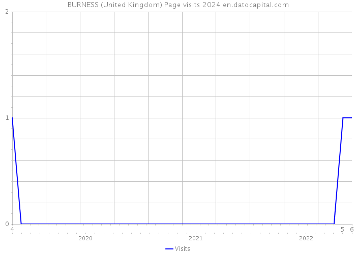 BURNESS (United Kingdom) Page visits 2024 