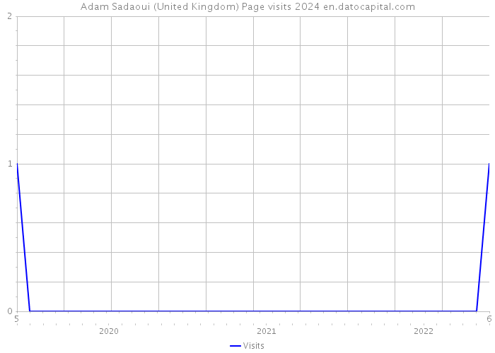 Adam Sadaoui (United Kingdom) Page visits 2024 