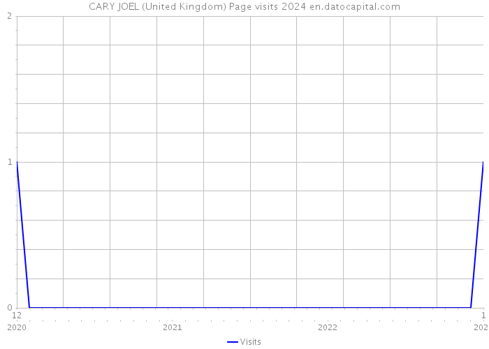 CARY JOEL (United Kingdom) Page visits 2024 