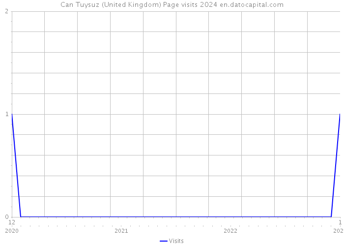 Can Tuysuz (United Kingdom) Page visits 2024 
