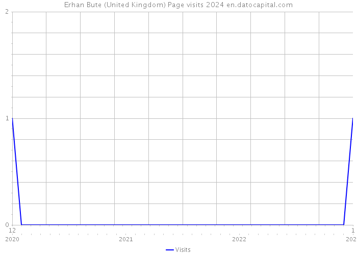 Erhan Bute (United Kingdom) Page visits 2024 