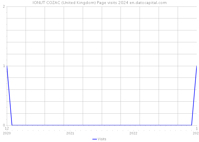 IONUT COZAC (United Kingdom) Page visits 2024 