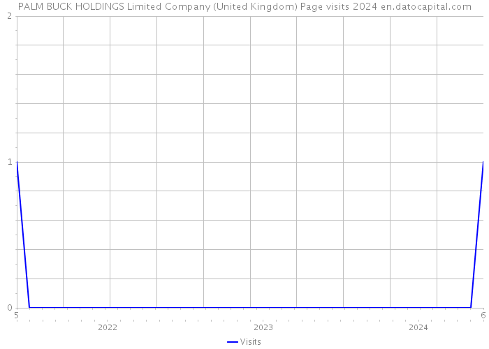 PALM BUCK HOLDINGS Limited Company (United Kingdom) Page visits 2024 
