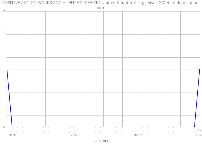 POSITIVE ACTION WORKS SOCIAL ENTERPRISE CIC (United Kingdom) Page visits 2024 