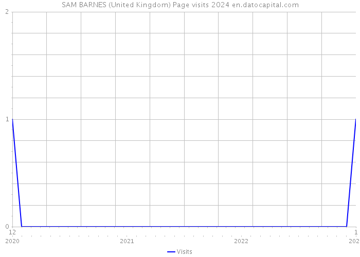 SAM BARNES (United Kingdom) Page visits 2024 