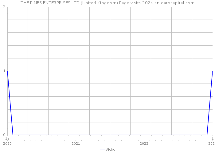 THE PINES ENTERPRISES LTD (United Kingdom) Page visits 2024 