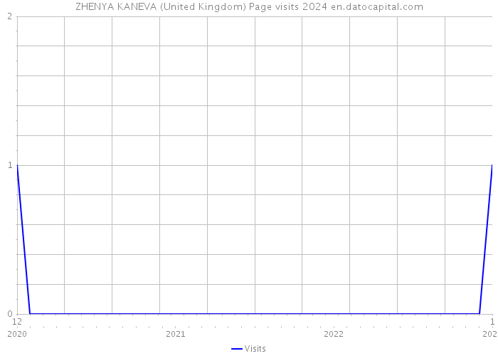 ZHENYA KANEVA (United Kingdom) Page visits 2024 