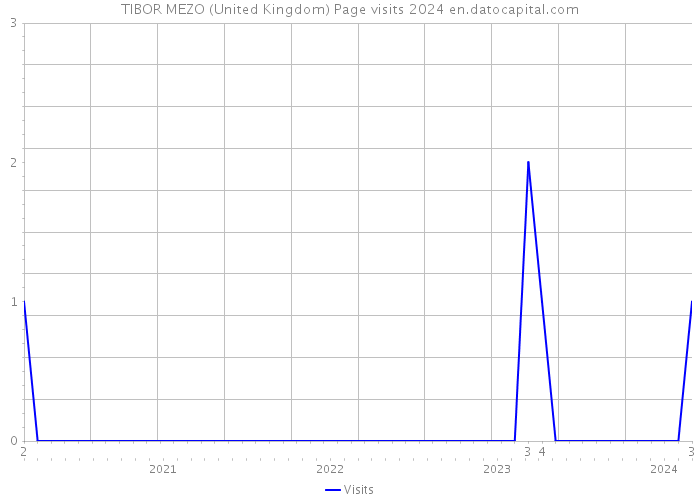 TIBOR MEZO (United Kingdom) Page visits 2024 