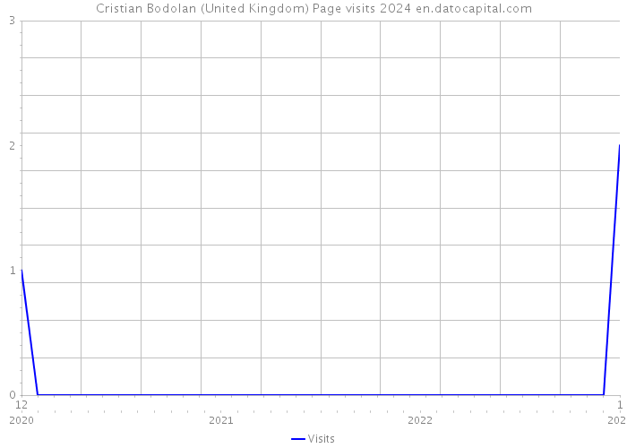 Cristian Bodolan (United Kingdom) Page visits 2024 