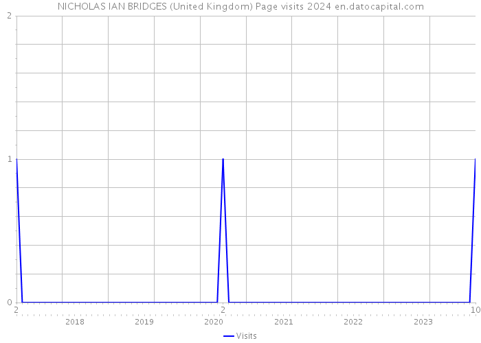 NICHOLAS IAN BRIDGES (United Kingdom) Page visits 2024 