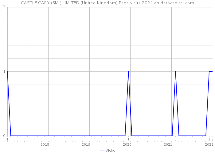 CASTLE CARY (BMI) LIMITED (United Kingdom) Page visits 2024 