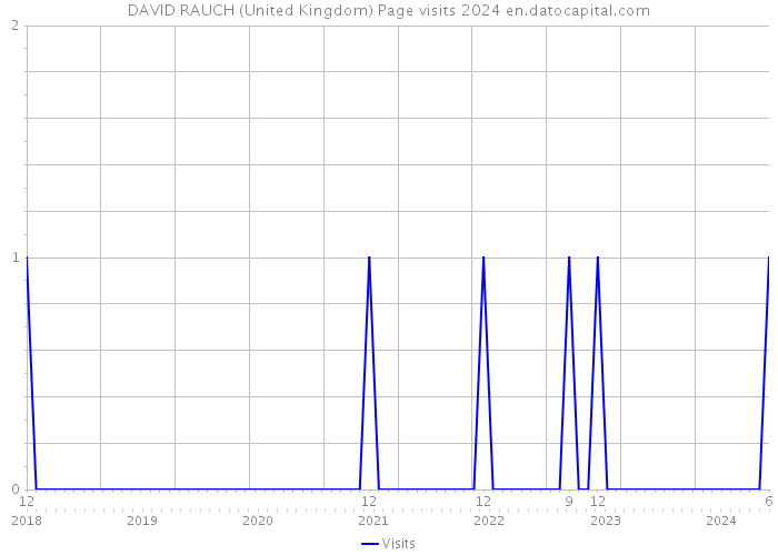 DAVID RAUCH (United Kingdom) Page visits 2024 