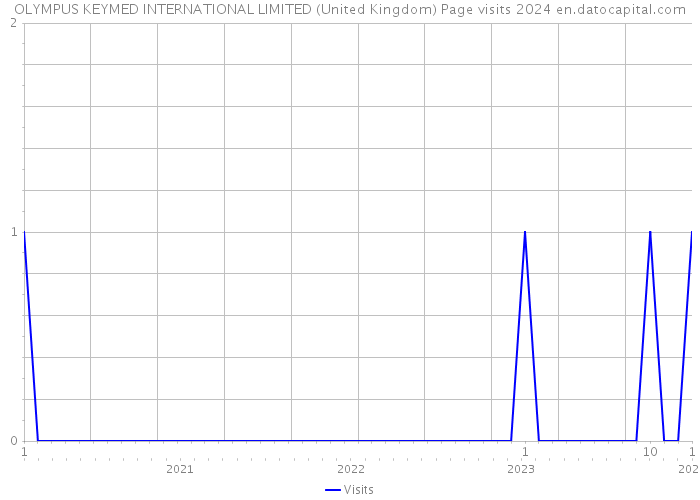 OLYMPUS KEYMED INTERNATIONAL LIMITED (United Kingdom) Page visits 2024 