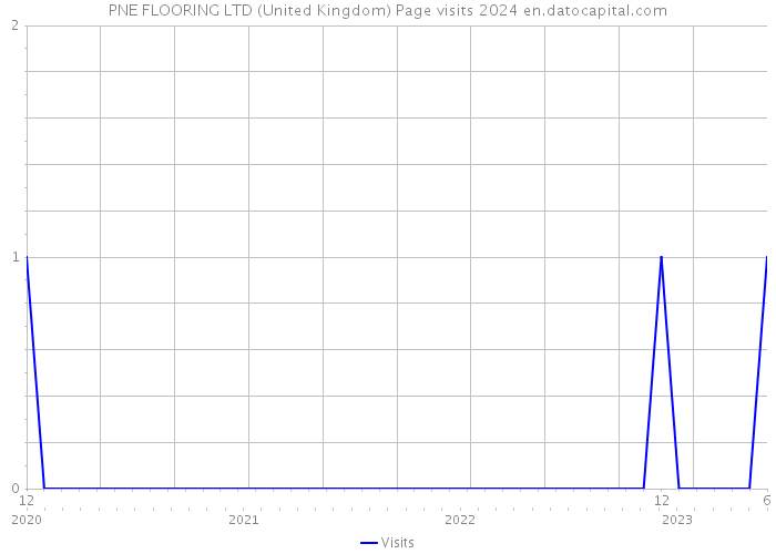 PNE FLOORING LTD (United Kingdom) Page visits 2024 