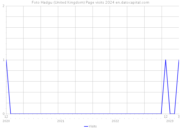 Foto Hadgu (United Kingdom) Page visits 2024 