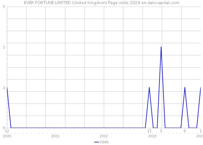 EVER FORTUNE LIMITED (United Kingdom) Page visits 2024 