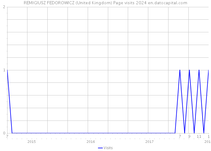 REMIGIUSZ FEDOROWICZ (United Kingdom) Page visits 2024 