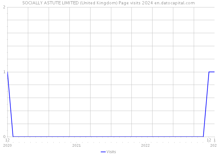SOCIALLY ASTUTE LIMITED (United Kingdom) Page visits 2024 
