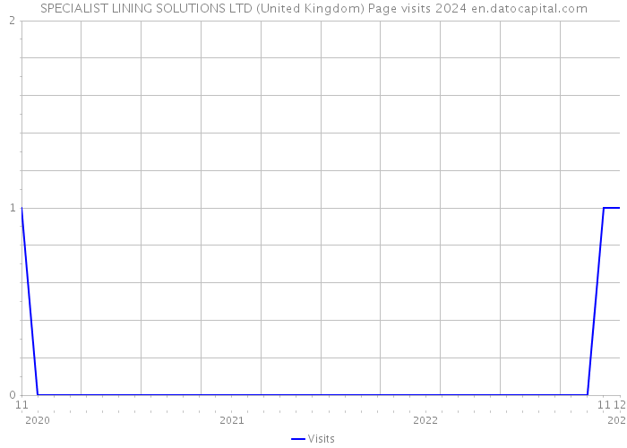 SPECIALIST LINING SOLUTIONS LTD (United Kingdom) Page visits 2024 