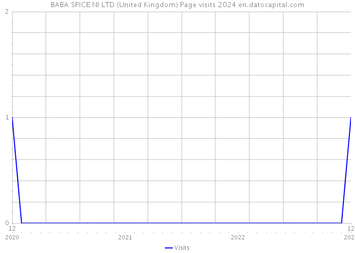 BABA SPICE NI LTD (United Kingdom) Page visits 2024 