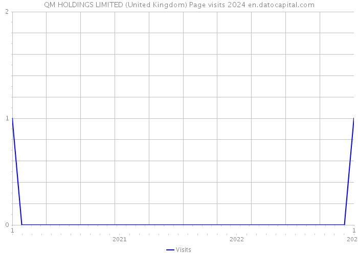 QM HOLDINGS LIMITED (United Kingdom) Page visits 2024 