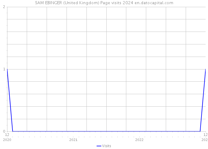 SAM EBINGER (United Kingdom) Page visits 2024 