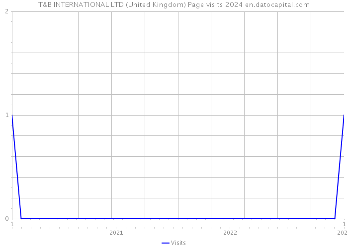 T&B INTERNATIONAL LTD (United Kingdom) Page visits 2024 