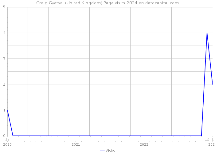 Craig Gyetvai (United Kingdom) Page visits 2024 