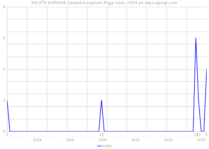 RAXITA KAPASHI (United Kingdom) Page visits 2024 
