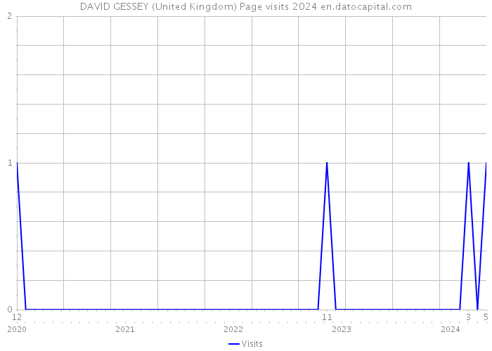 DAVID GESSEY (United Kingdom) Page visits 2024 