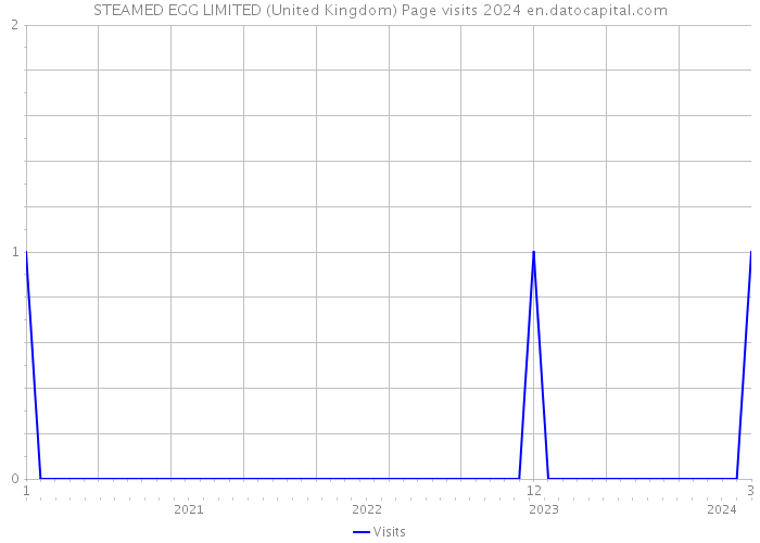 STEAMED EGG LIMITED (United Kingdom) Page visits 2024 