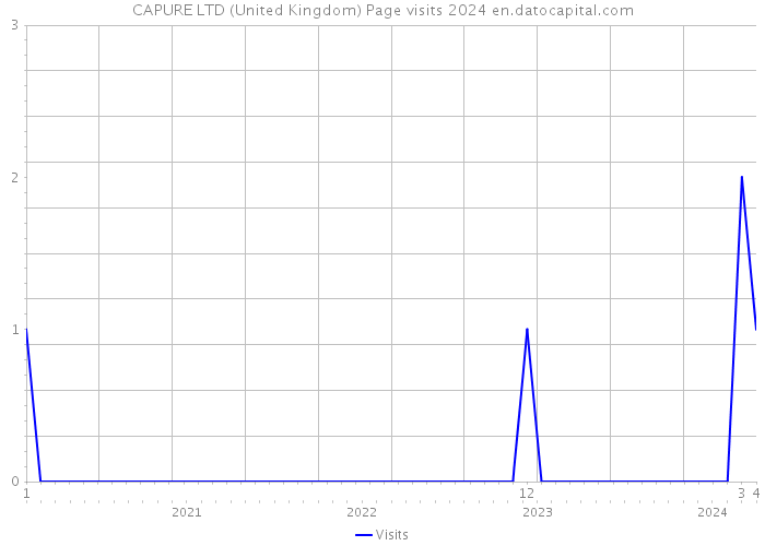 CAPURE LTD (United Kingdom) Page visits 2024 