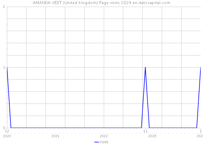 AMANDA VEST (United Kingdom) Page visits 2024 