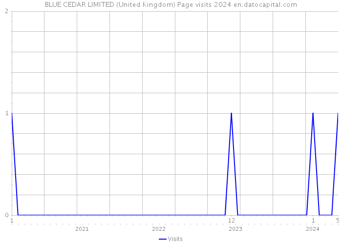 BLUE CEDAR LIMITED (United Kingdom) Page visits 2024 