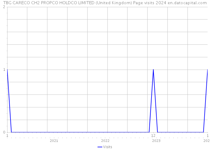 TBG CARECO CH2 PROPCO HOLDCO LIMITED (United Kingdom) Page visits 2024 