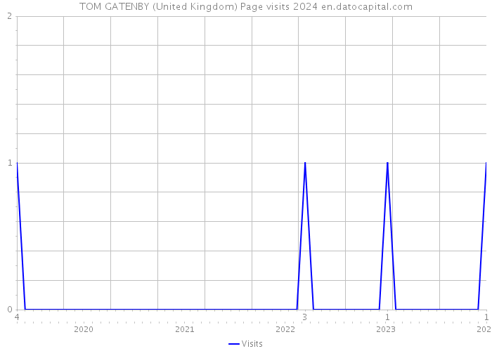 TOM GATENBY (United Kingdom) Page visits 2024 