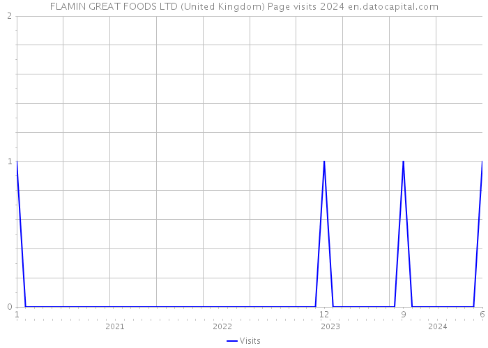 FLAMIN GREAT FOODS LTD (United Kingdom) Page visits 2024 