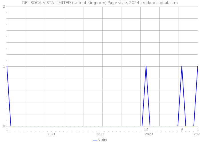 DEL BOCA VISTA LIMITED (United Kingdom) Page visits 2024 