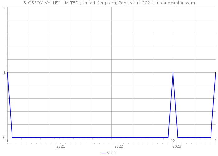 BLOSSOM VALLEY LIMITED (United Kingdom) Page visits 2024 