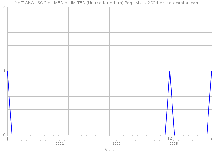 NATIONAL SOCIAL MEDIA LIMITED (United Kingdom) Page visits 2024 