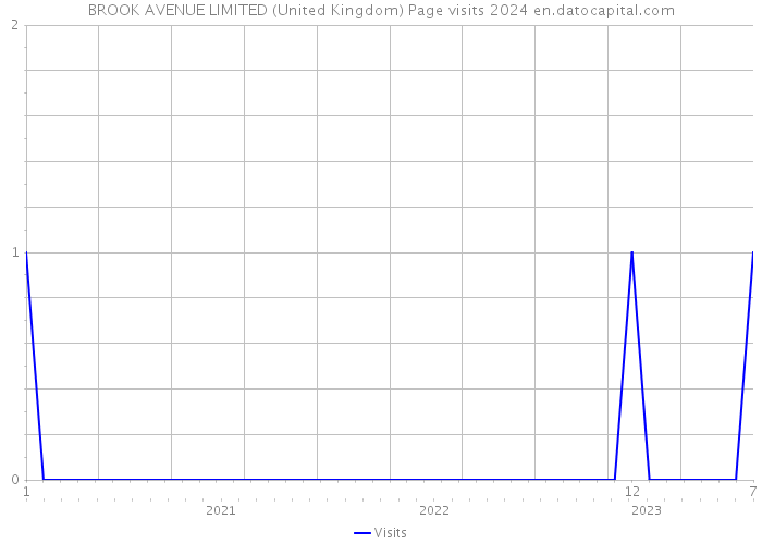 BROOK AVENUE LIMITED (United Kingdom) Page visits 2024 
