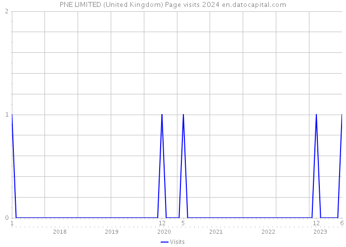 PNE LIMITED (United Kingdom) Page visits 2024 