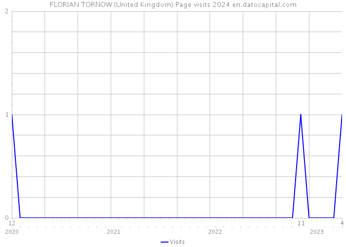 FLORIAN TORNOW (United Kingdom) Page visits 2024 