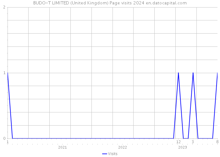 BUDO-T LIMITED (United Kingdom) Page visits 2024 
