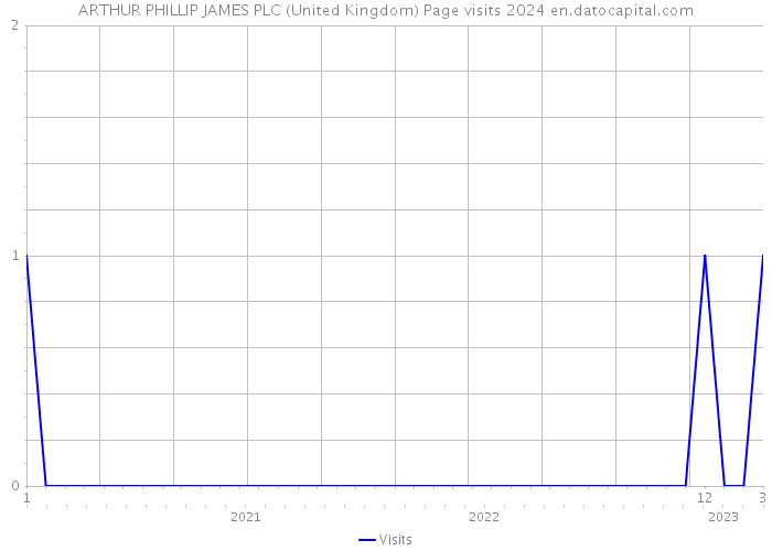 ARTHUR PHILLIP JAMES PLC (United Kingdom) Page visits 2024 