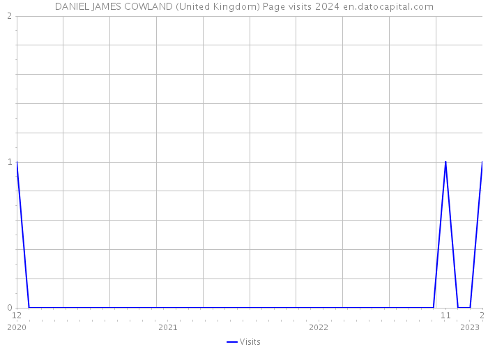DANIEL JAMES COWLAND (United Kingdom) Page visits 2024 