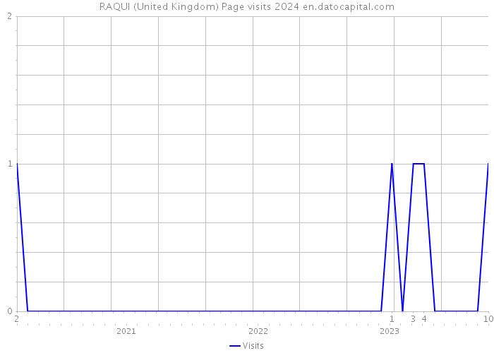 RAQUI (United Kingdom) Page visits 2024 